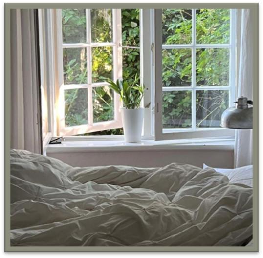 Edelsminde Bed & Breakfast Haslev Εξωτερικό φωτογραφία